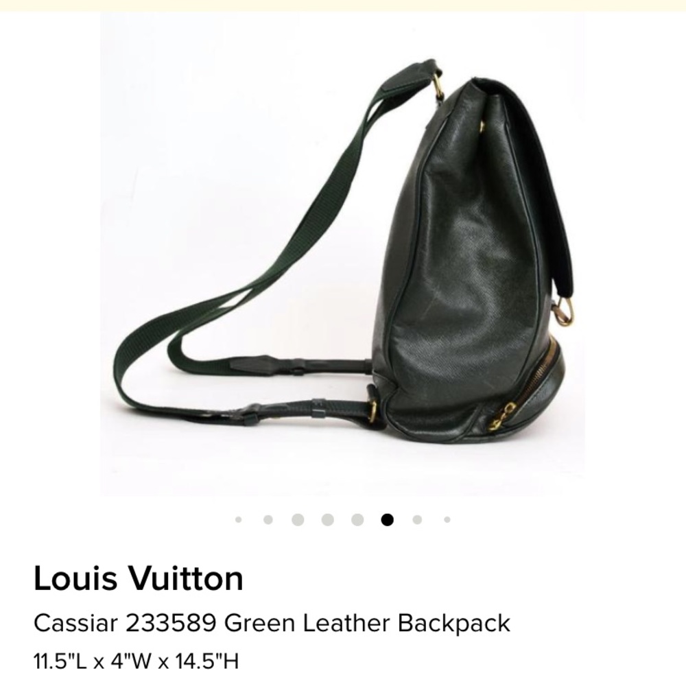 Louis Vuitton Cassiar 233589 Leather Backpack - Picture 9 of 14